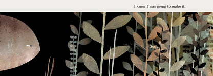 This Is Not My Hat by Jon Klassen - The Hat Trilogy