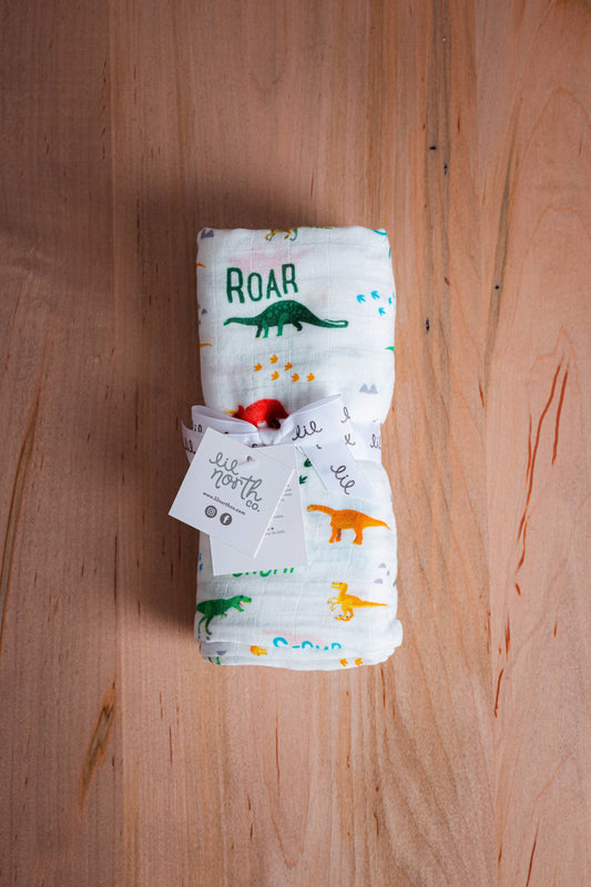 Modern Dinos Muslin Single Swaddle